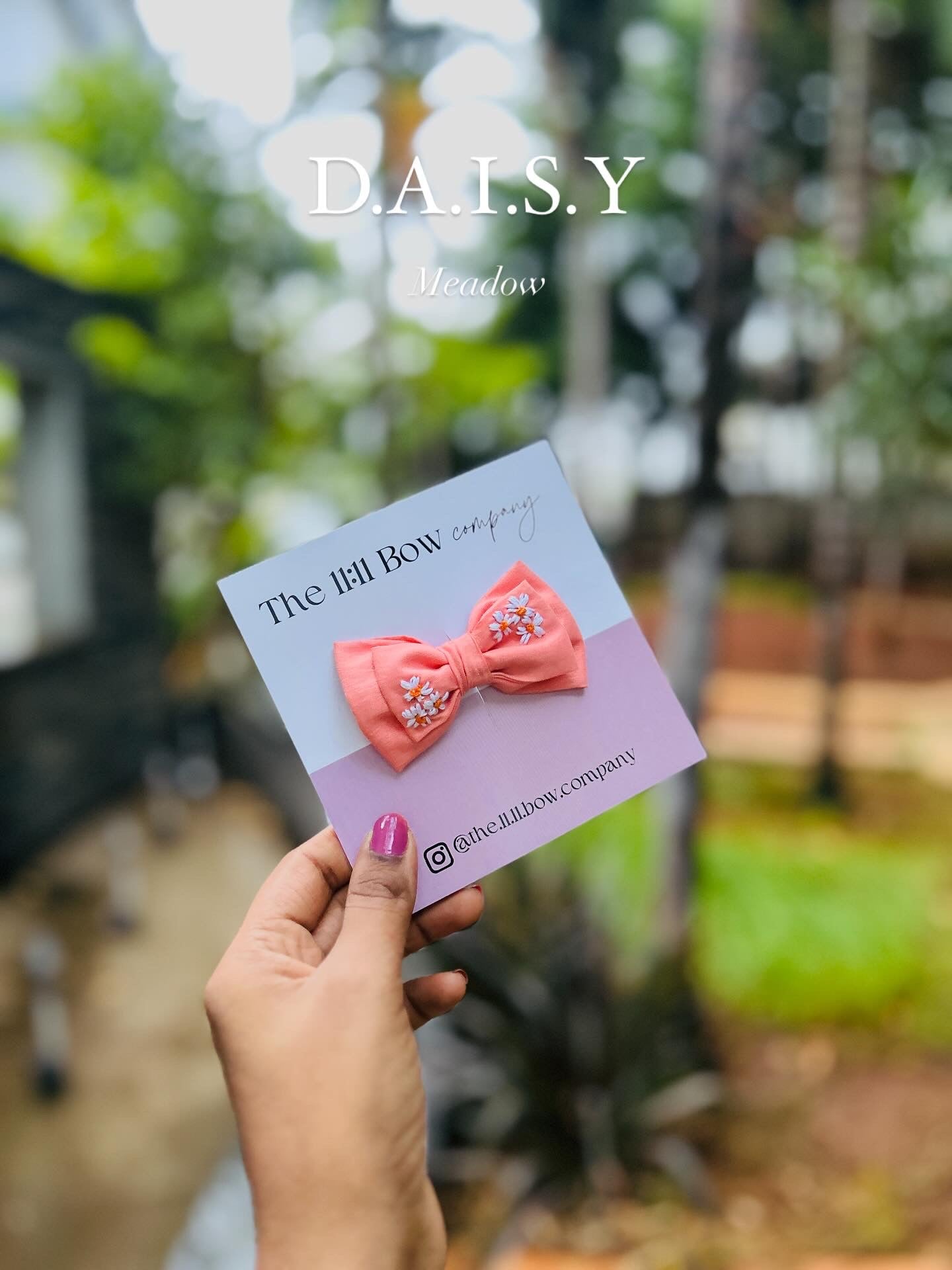 Daisy 🧡.