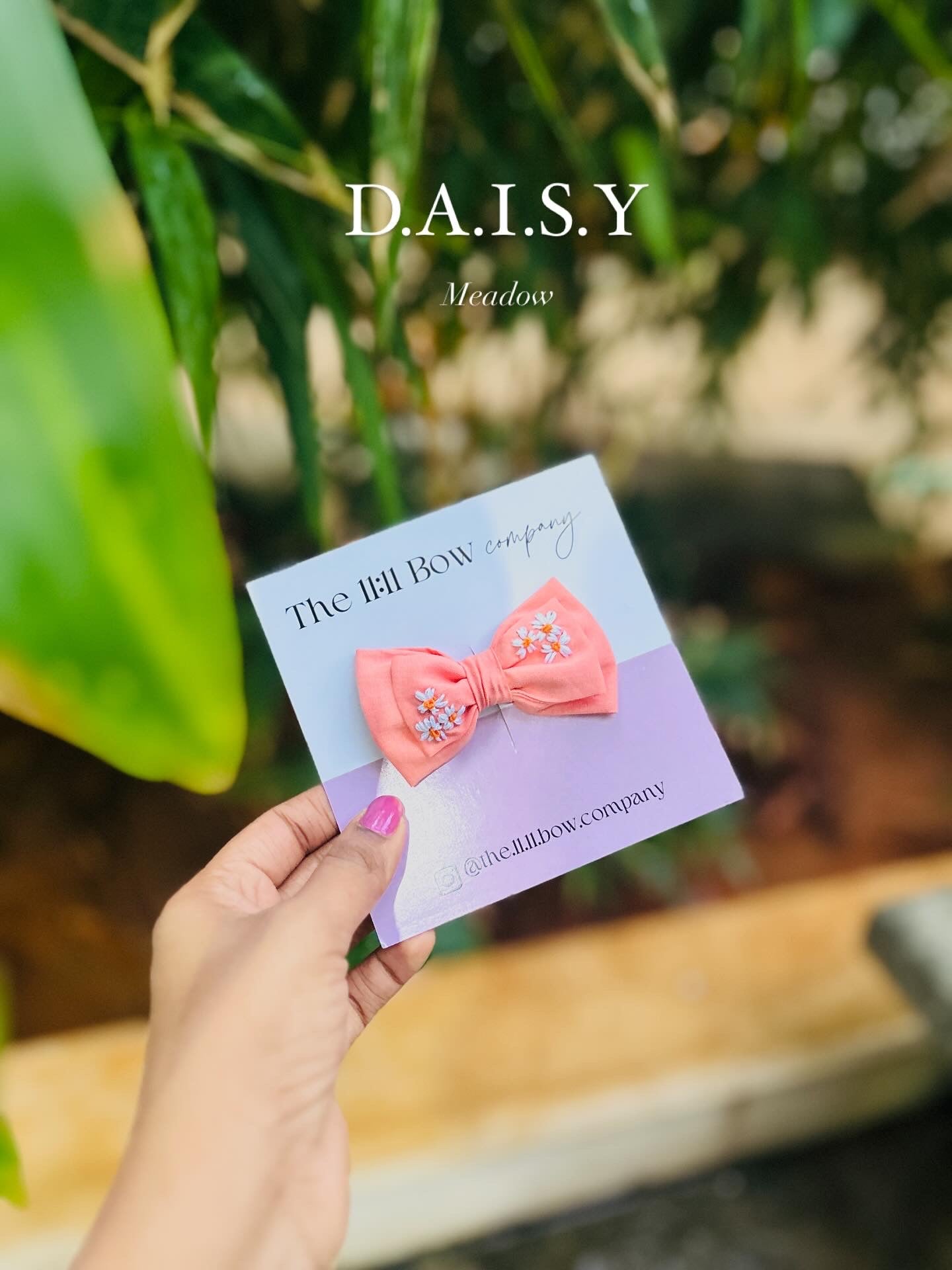 Daisy 🧡.
